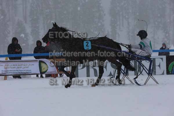 ET0Q1339 prot